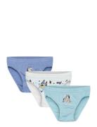 Panties Blue Bluey