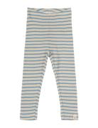 Legging Modal Striped Blue Petit Piao