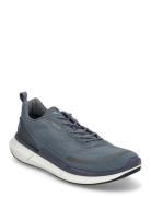 Biom 2.2 M Blue ECCO