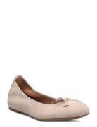 Acor25Ks Beige UNISA