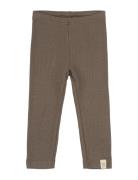 Legging Modal Brown Petit Piao