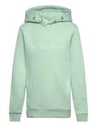 Borg Essential 3 Hoodie Green Björn Borg