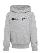 Hooded Sweatshirt Grey Champion