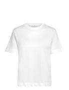 Short-Sleeved Cotton T-Shirt White Mango