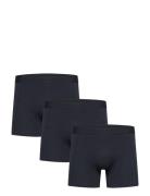 5 Pack Tights Navy Shine Original