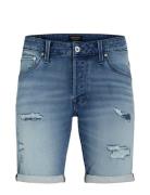 Jjirick Jjicon I.k. Shorts Ge 136 Sn Blue Jack & J S