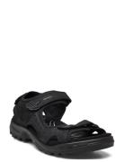 Offroad Black ECCO