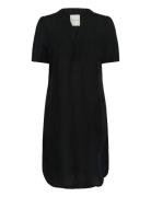 Aminasepw Dr Black Part Two