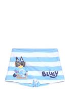 Swimsuit Blue Bluey