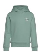 Small Monogram Hoodie Green Calvin Klein