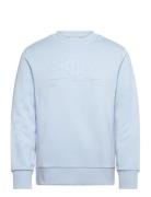 Reg Tonal Shield C-Neck Sweat Blue GANT