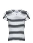 Tjw Slim Essential Rib Ss Navy Tommy Jeans