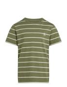 2P Striped T-Shirts Green Calvin Klein