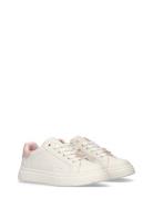 Low Tops Lace-Up Sneaker Pink Calvin Klein