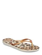 Hav Slim Animals Beige Havaianas