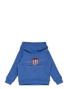 Archive Shield Raglan Hoodie Blue GANT