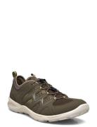 Terracruise Lt M Brown ECCO