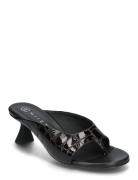 Palmira Brown Sandal Black MIISTA
