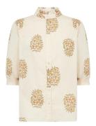 Sc-Pompeia Cream Soyaconcept