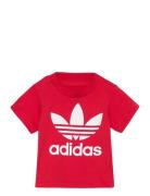 Trefoil Tee Red Adidas Originals
