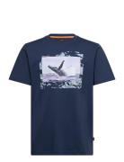 Te_Dunetrace Navy BOSS