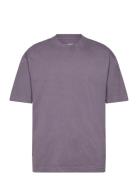 Hco. Guys Knits Purple Hollister