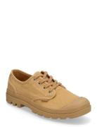 Pampa Oxford Beige Palladium