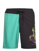 Johnson Beast Wagon Boardshort Blue Santa Cruz