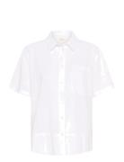 Reneepw Sh White Part Two