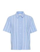 Reneepw Sh Blue Part Two