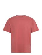 Sdpavlo Pink Solid