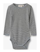 Wool Body L/S Lucca Navy Wheat