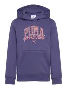 Puma Class Hoodie Tr G Blue PUMA