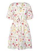 Dress Cream FREE/QUENT