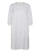 Dress Blue FREE/QUENT