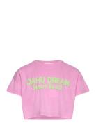 T-Shirt .-- Oahu Pink Mango