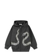 Mazzo Grey Molo