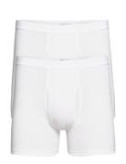 Jbs Tights 2-Pack Organic White JBS