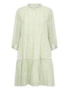 Nibipw Dr Green Part Two