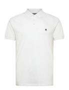 Polo Hv White French Connection