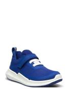 Biom 2.2 K Blue ECCO