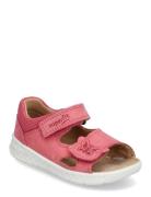 Lagoon Pink Superfit