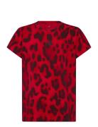 Jg Fi Aop T Red Adidas Sportswear