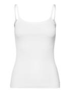 Cmsiv-To White Copenhagen Muse