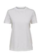 Slfmy Perfect Ss Tee Box Cut B Noos White Selected