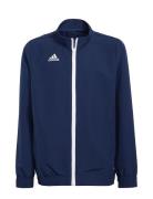 Ent22 Prejkty Navy Adidas Performance