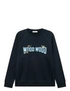 Wwhester Navy WOOD WOOD