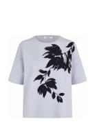 Madominan Blue Masai