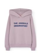 Taurus Kid Hoodie Lavand Pink THE ANIMALS OBSERVATORY
