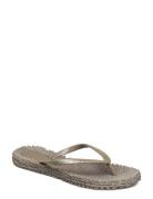 Flipflop With Glitter Grey Ilse Jacobsen